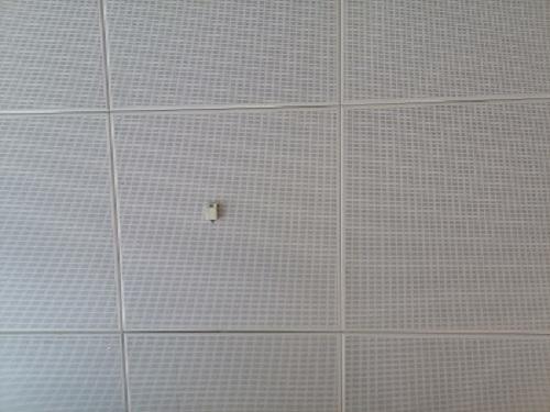 墙面装饰冲孔网|金属冲孔板